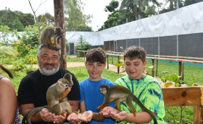 Monkey Home